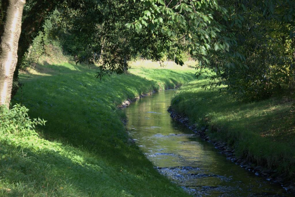 Land-Hotel Zum Schwan, Garni Weilerswist-Metternich, 3 E-Ladestationen, Naehe Phantasialand, Palmenparadies Euskirchen Ngoại thất bức ảnh